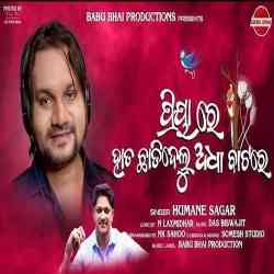 Priya re Hata Chhadidelu Adha Batare